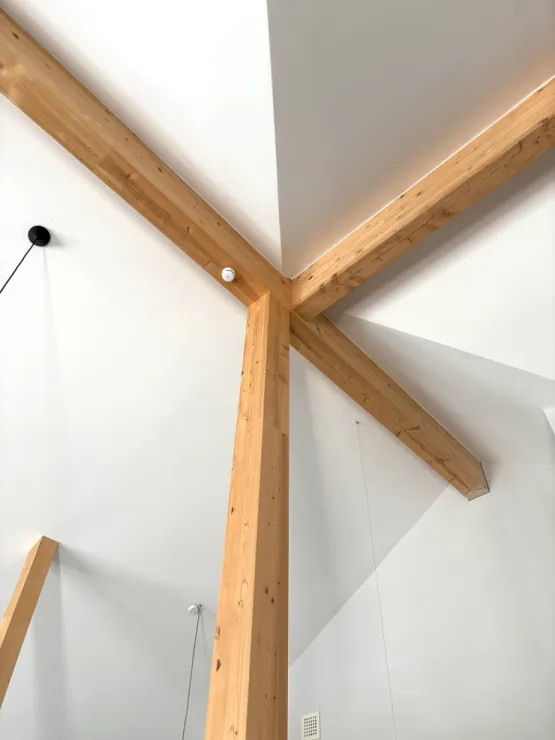 Firstpfetten mit sichtbaren Stützbalken